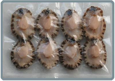 水產品冷凍加工全解析 從優質鮑魚肉市場看市場趨勢與規范