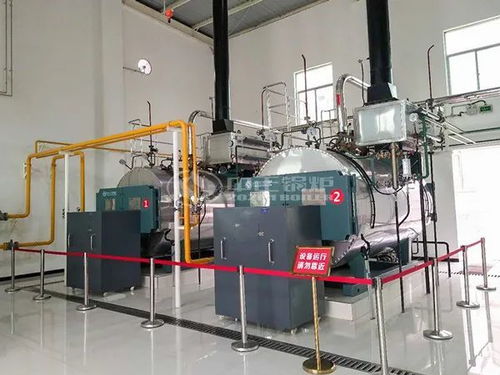 綠色引擎賦能藍色經濟 中正燃氣鍋爐攜手省級名企助力水產品深加工新突破