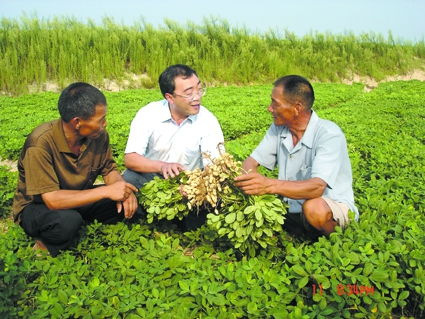 中原無(wú)處不飛花——記中國(guó)工程院院士、省農(nóng)科院院長(zhǎng)張新友的中草藥科技咨詢(xún)之路