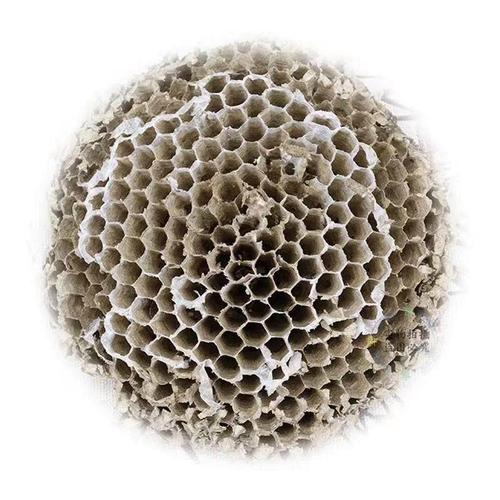野生蜂房市場(chǎng)行情與中草藥科技應(yīng)用分析