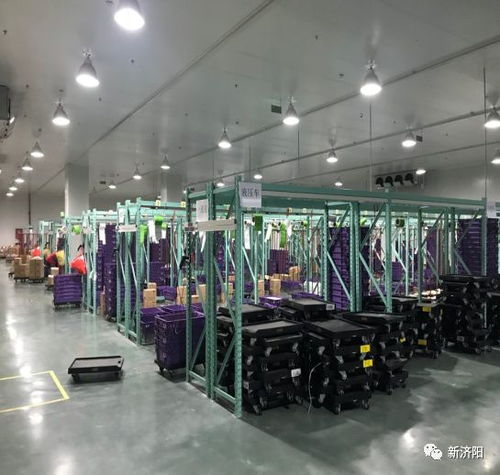 智能系統賦能，我區企業高效服務全省200余家統一銀座倉儲配送